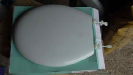 Photo of free loo seat (St Albans AL4) #1