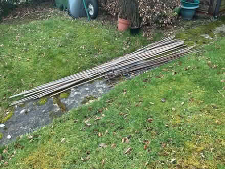 Photo of free Bean poles 90 inches long and Stakes,60 inches (Alderley Edge SK9) #1