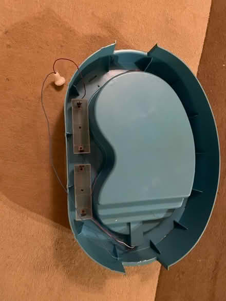 Photo of free Cindy Swimming Pool (Brigstock NN14) #2