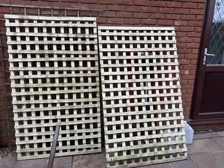 Photo of free Garden Trellis (Bracknell Forest RG42) #3