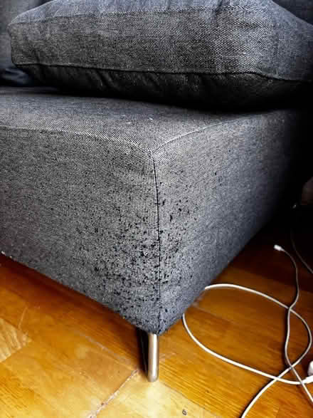 Photo of free Sofa (Rotherhithe SE16) #3