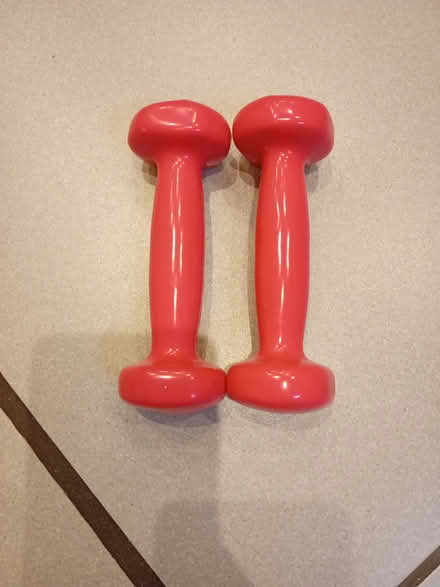 Photo of free Pro fitness 5kg (Richmond TW9) #1