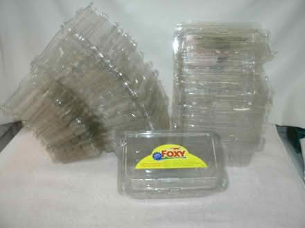 Photo of free Strawberry Containers-Plant Starter (Garfield NJ) #1