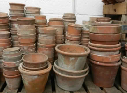 Photo of Any old terracotta pots any size you no longer need please x (West Mersea CO5) #1