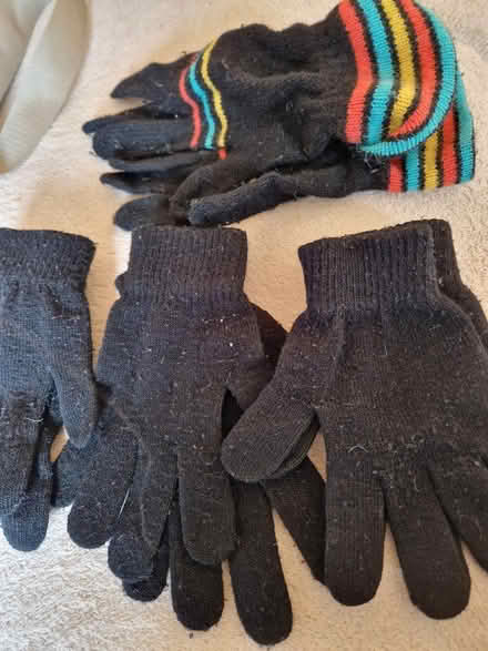 Photo of free Gloves( small) (Juniper Green, EH14) #2