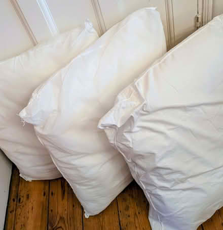 Photo of free 3 x square synthetic cushion pads (Chalkwell SS9) #1