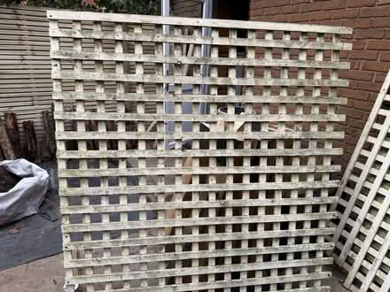 Photo of free Garden Trellis (Bracknell Forest RG42) #4