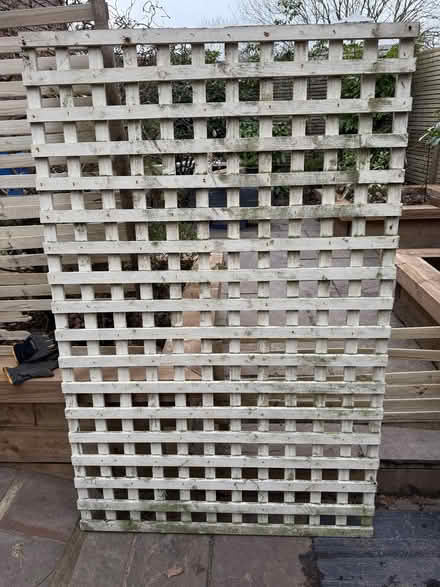 Photo of free Garden Trellis (Bracknell Forest RG42) #2