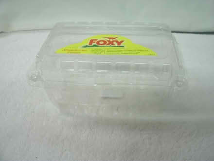 Photo of free Strawberry Containers-Plant Starter (Garfield NJ) #3