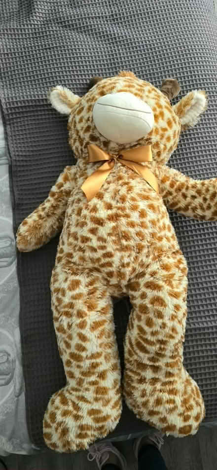 Photo of free Large Soft Cuddly Giraffe (Becontree RM8) #3