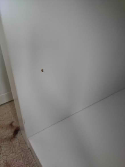 Photo of free IKEA Kallax unit (Tring HP23) #3