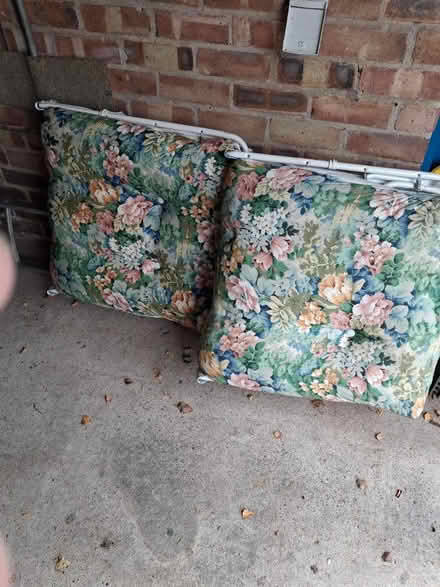 Photo of free 2 sunbeds (Wollaton ng8) #1