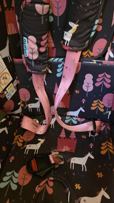 Photo of free Cosatto Car Seat (Gravelly Hill B23) #3