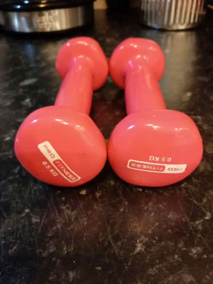 Photo of free Pro fitness 5kg (Richmond TW9) #2