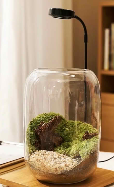 Photo of free Terrarium with grow light (Upper West side. West 83.) #1