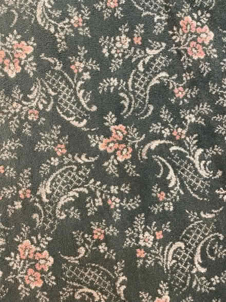 Photo of free Carpet (Marlow Bottom SL7) #1