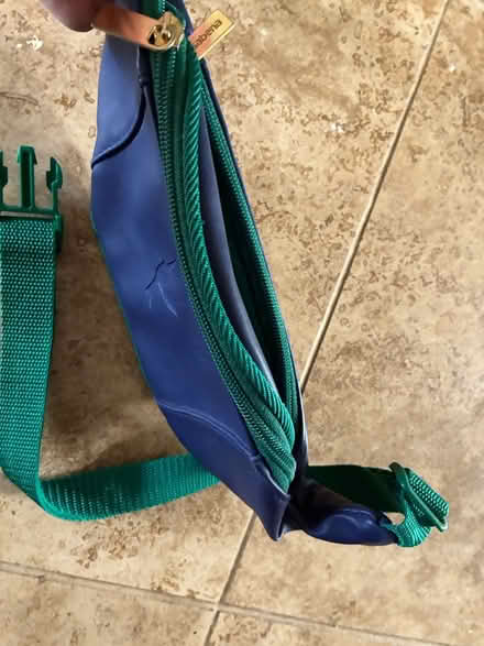 Photo of free Bum bag (Long Ditton, KT6) #1