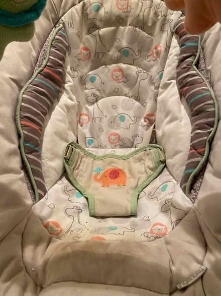 Photo of free Ingenuity baby chair (Luton LU2) #4