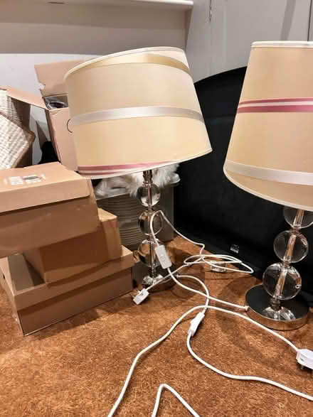 Photo of free 2 lamps + shades, no plugs (OX2 Norham Manor) #1