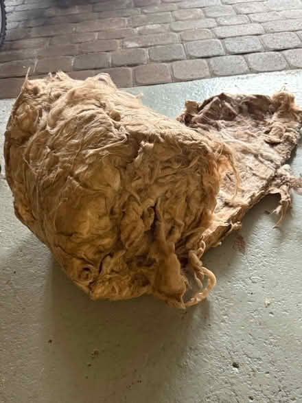 Photo of free Insulation roll (Gosforth) #1