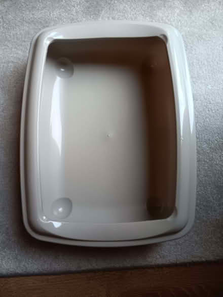Photo of free Large cat litter box with rim (Hook Heath GU22) #2