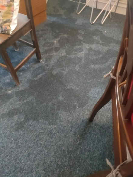 Photo of Wet and dry vacuum/carpet cleaner (Cutteslowe OX2) #1