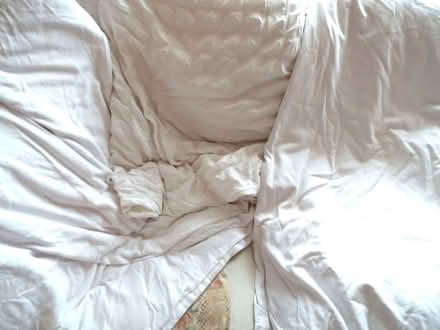 Photo of free 3 x white 100% cotton king size duvet covers (Bingham NG13) #1