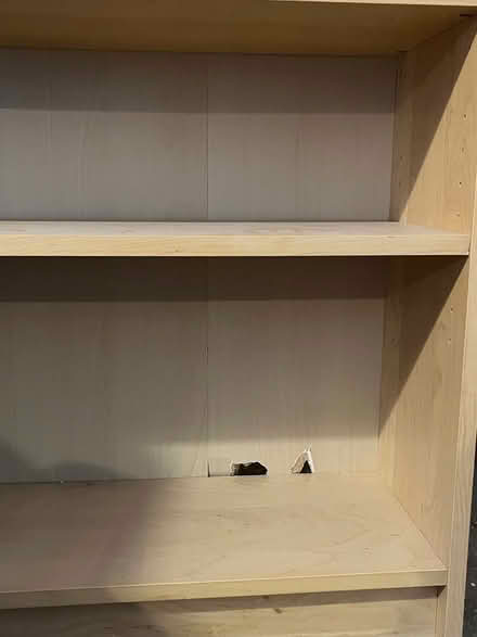 Photo of free Tall bookshelf (BS2) #2