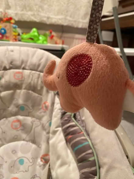 Photo of free Ingenuity baby chair (Luton LU2) #3