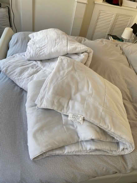 Photo of free Duvets 9 + 4.5 Tog (Ealing W5) #1