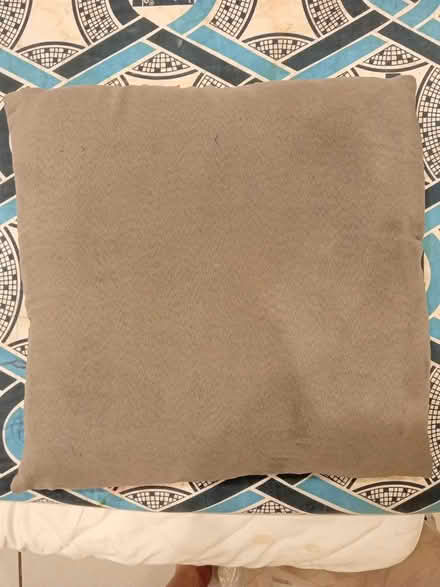 Photo of free Owl cushion (Richmond TW9) #2