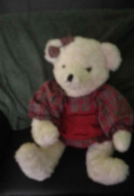 Photo of free Teddy in tartan dress (Killamarsh S21) #1