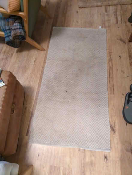 Photo of free Runner (Walkley, S6) #1