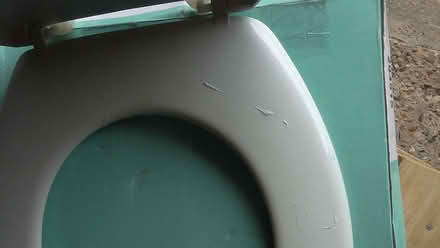 Photo of free loo seat (St Albans AL4) #2