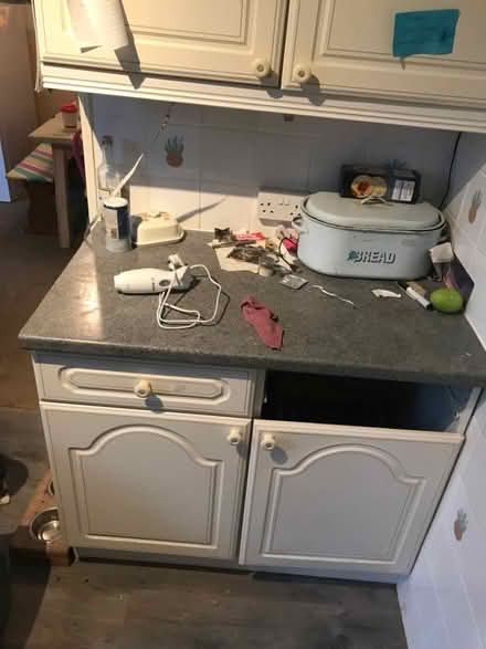 Photo of free Kitchen units (Landport Farm BN7) #1