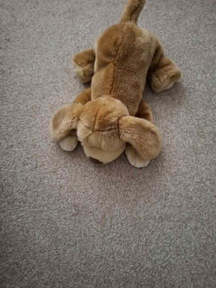 Photo of free 3 teddy bears (Newtown SY16) #2