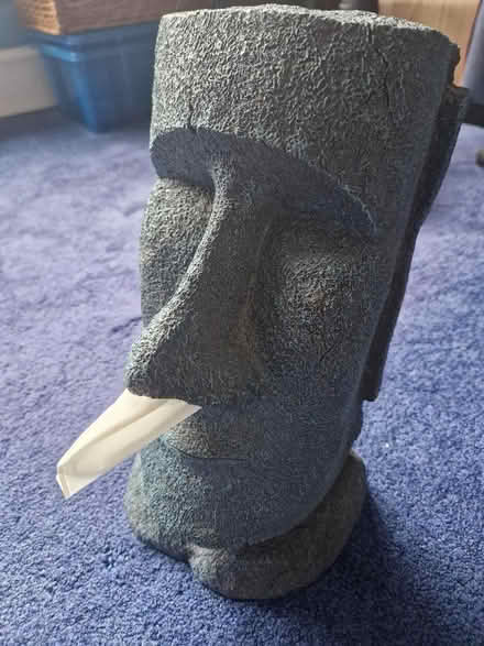 Photo of free Head hanky dispenser (Loughton IG10) #4