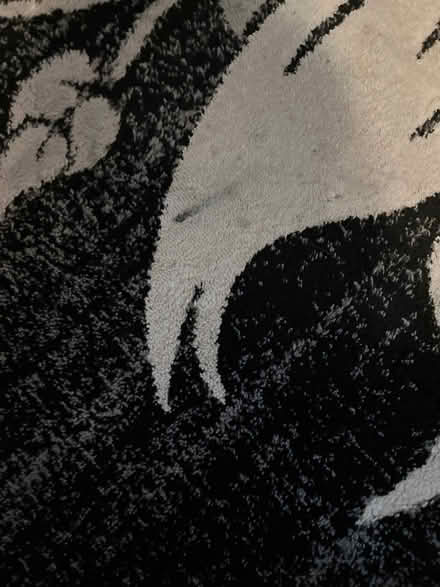 Photo of free Large rug (Knotty Ash L14) #2