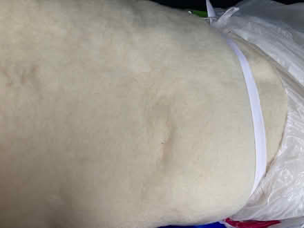 Photo of free Lambs wool mattress topper (Bradford BD2) #1