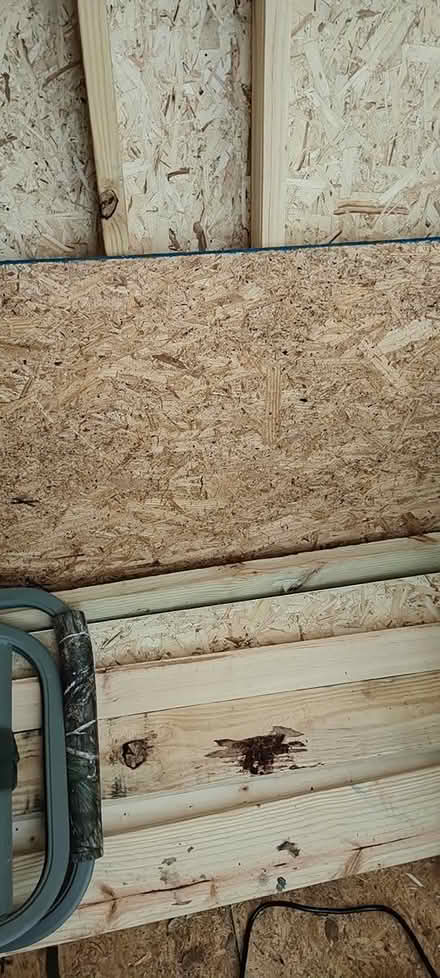 Photo of free Plywood (21702) #1