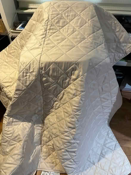 Photo of free New Couch Cover (Germantown) #1