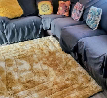 Photo of free Ochre gold shaggy rug (South Oxhey WD19) #1