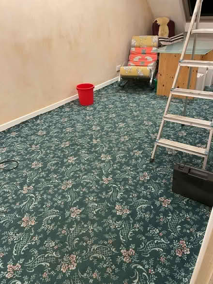 Photo of free Carpet (Marlow Bottom SL7) #2