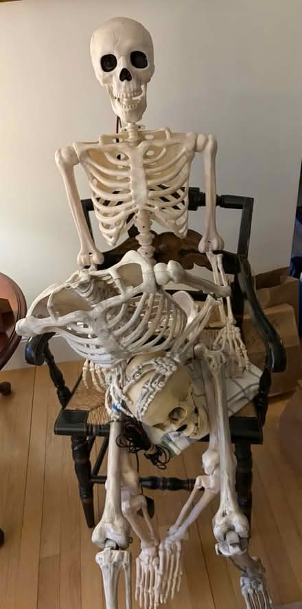 Photo of free DIY Jemmy Talk Haunt Kit (Belmont, MA) #3