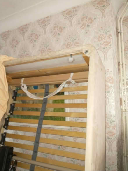 Photo of free Single electric bed (Cheshunt EN8) #3