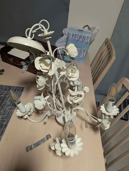 Photo of free Flower chandelier-style light fitting (Tunbury Wood ME5) #1