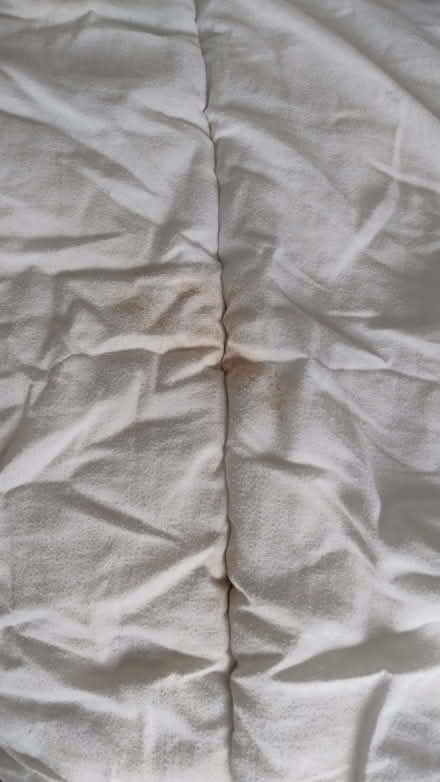 Photo of free 2 used 13.5t duvets (Thorpe Bay SS3) #3