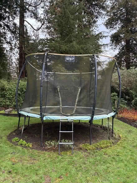 Photo of free Trampoline (Windsor Great Park SL5) #1