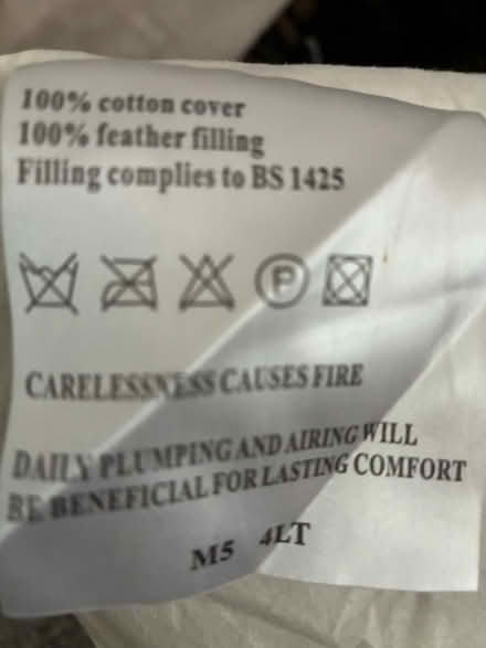 Photo of free Cushion inners (Long Ditton, KT6) #2