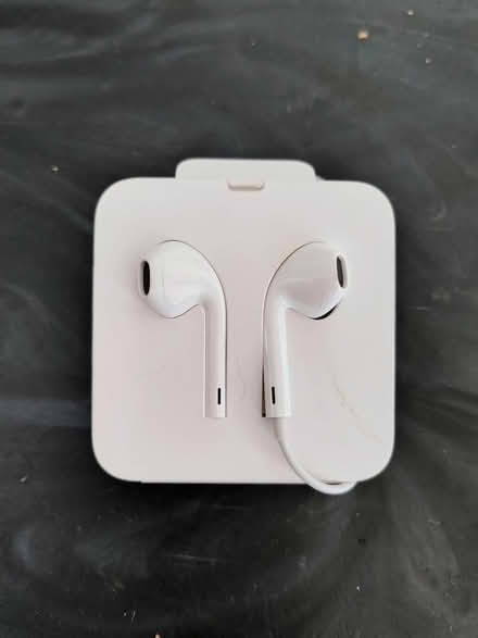 Photo of free Brand New Lightning Wired Earbuds (Queen Anne) #1